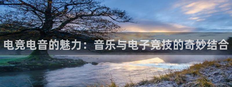 易游电竞馆：电竞电音的魅力：音乐与电子竞技的奇妙结合
