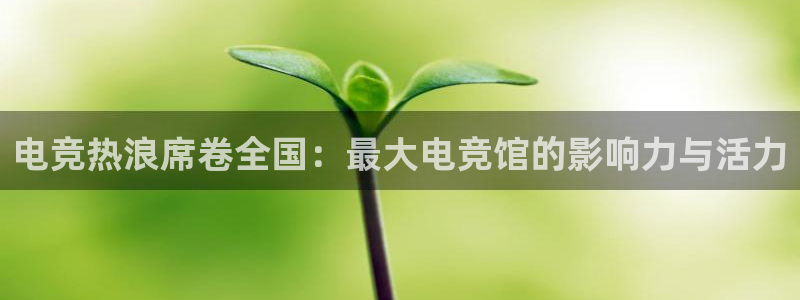 易游电竞王者荣耀大赛