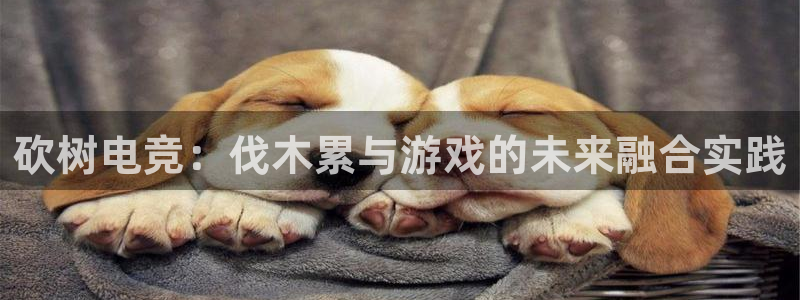 易游电竞解说：砍树电竞：伐木累与游戏的未来融合实践