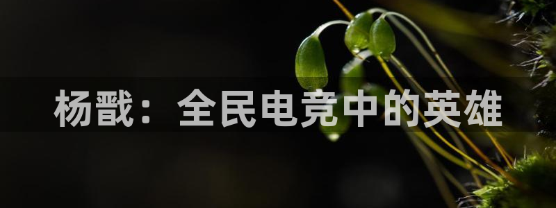 易游电竞赛事直播：杨戬：全民电竞中的英雄