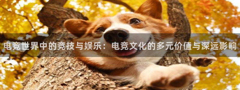易游电竞馆：电竞世界中的竞技与娱乐：电竞文化的多元价值与深远影响