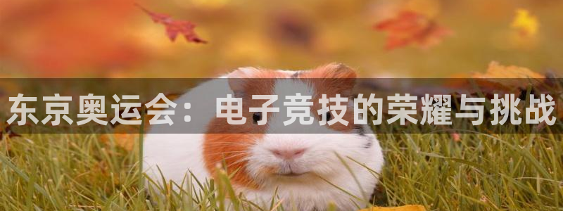 易游电竞平台：东京奥运会：电子竞技的荣耀与挑战