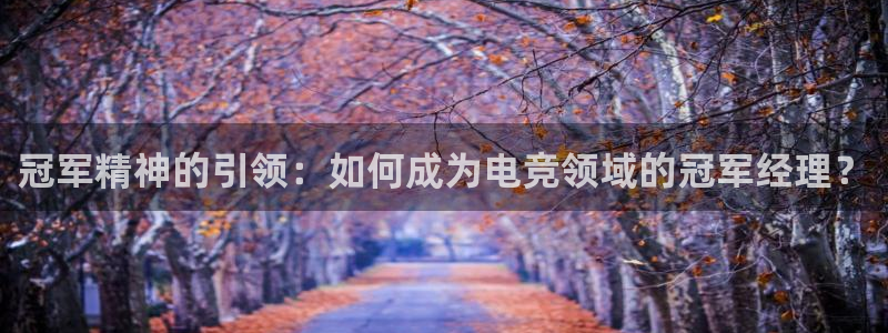 易游电竞王者荣耀大赛：冠军精神的引领：如何成为电竞领域的冠军经理？
