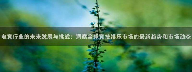 易游电竞