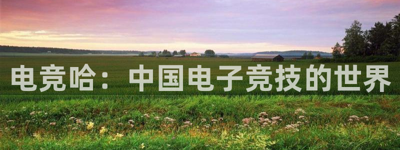易游电竞淮阴区：电竞哈：中国电子竞技的世界