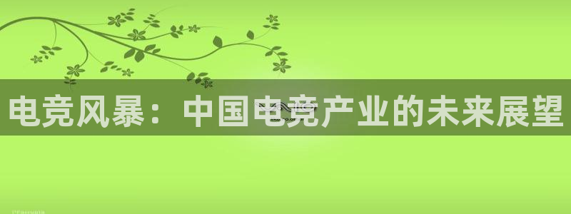 易游电竞淮阴区：电竞风暴：中国电竞产业的未来展望