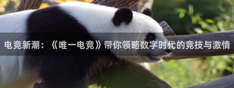 易游电竞解说：电竞新潮：《唯一电竞》带你领略数字时代的竞技与激情