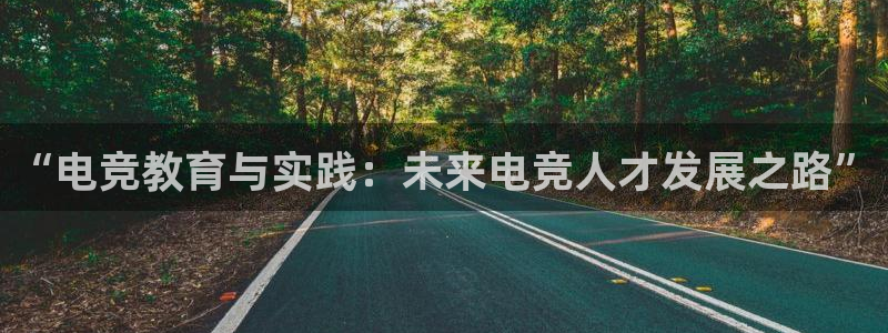 易游电竞解说：“电竞教育与实践：未来电竞人才发展之路”