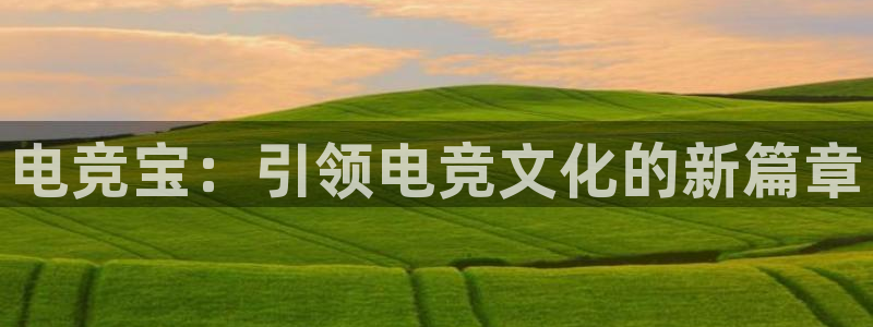 易游电竞官网：电竞宝：引领电竞文化的新篇章