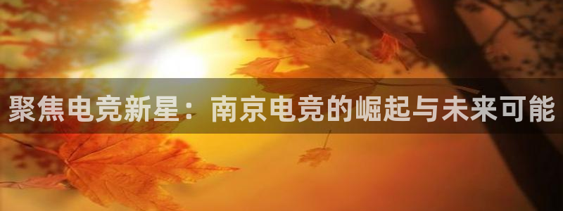易游电竞中国区：聚焦电竞新星：南京电竞的崛起与未来可能