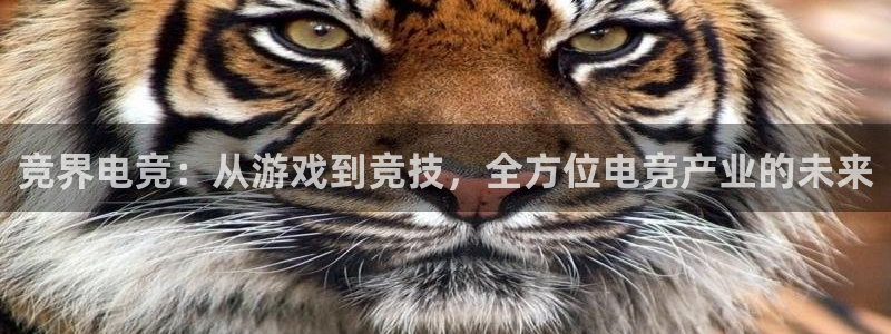 易游电竞CSGO解说：竞界电竞：从游戏到竞技，全方位电竞产业的未来