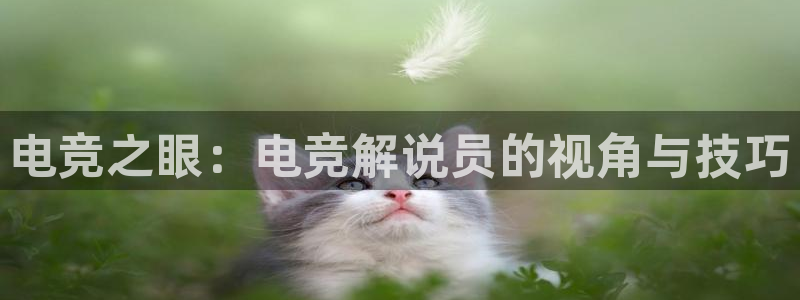 易游电竞网咖：电竞之眼：电竞解说员的视角与技巧