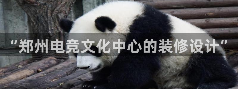 易游电竞王者荣耀大赛：“郑州电竞文化中心的装修设计”