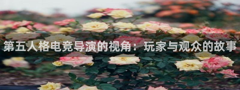 易游电竞淮阴区：第五人格电竞导演的视角：玩家与观众的故事